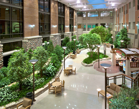 GARDEN CARE & LANDSCAPING